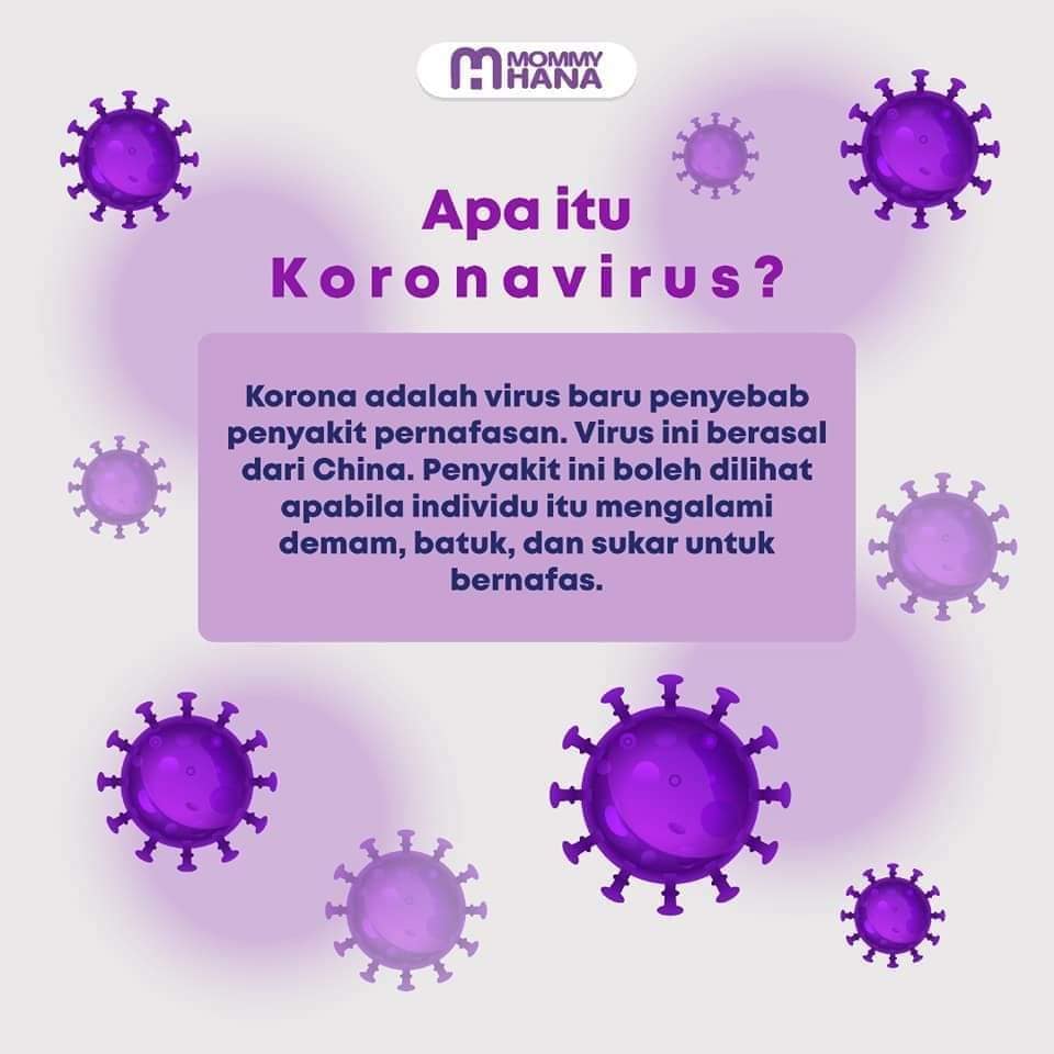 Apa Itu Corona Virus (COVID 19)